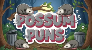 Possum Puns