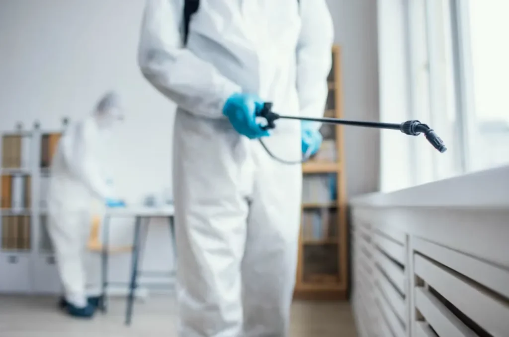 Why Every Business Needs Professional Commercial Pest Solutions